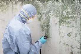 Asbestos and Lead Testing During Mold Inspection in Mountain View, AR